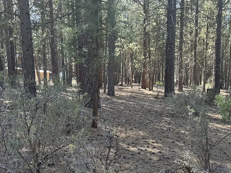 Land at Water View Way #3, Chiloquin, OR