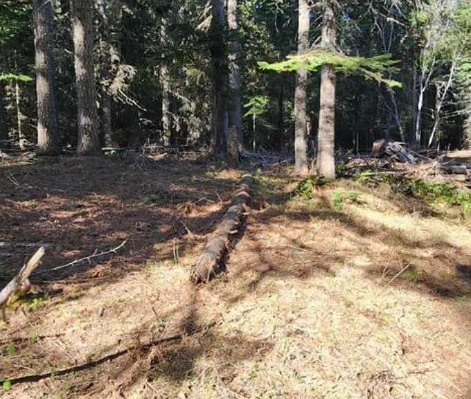 Land at 0 Black Pine Ln, Weston, OR